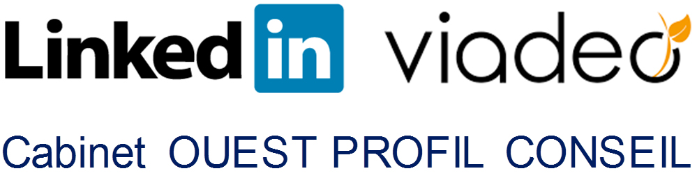 linkedin-viadeo-cabinet-ouest-profil-conseil