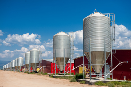 Storage for grain at a meat factory